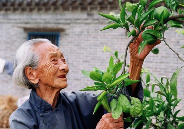 長壽的人有哪些特點？年紀大了如何養(yǎng)生？